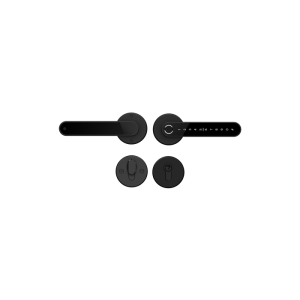 Home Fast BLACK умный замок для апартаментов и домохозяйств Home Fast BLACK умный замок для апартаментов и домохозяйств