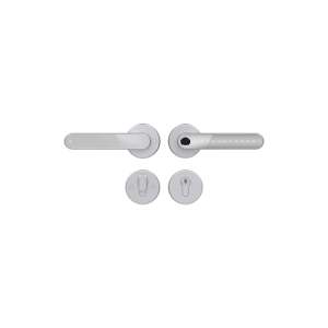 Home Fast SILVER умный замок для апартаментов и домохозяйств Home Fast SILVER умный замок для апартаментов и домохозяйств