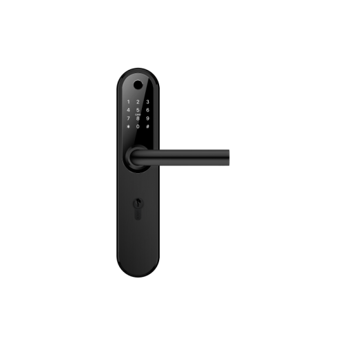 Home Plus BLACK умный замок для апартаментов и домохозяйств