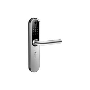 Home Plus SILVER умный замок для апартаментов и домохозяйств Home Plus SILVER умный замок для апартаментов и домохозяйств